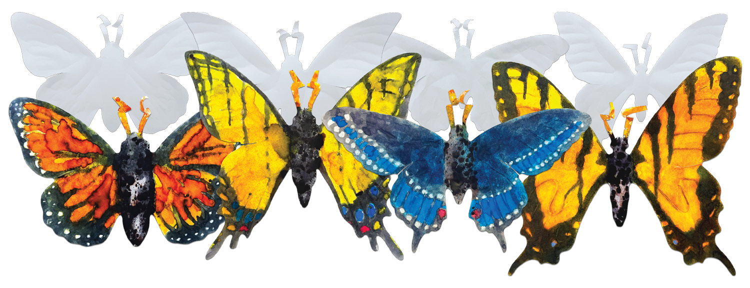 After school art activity for windows and doors butterflies