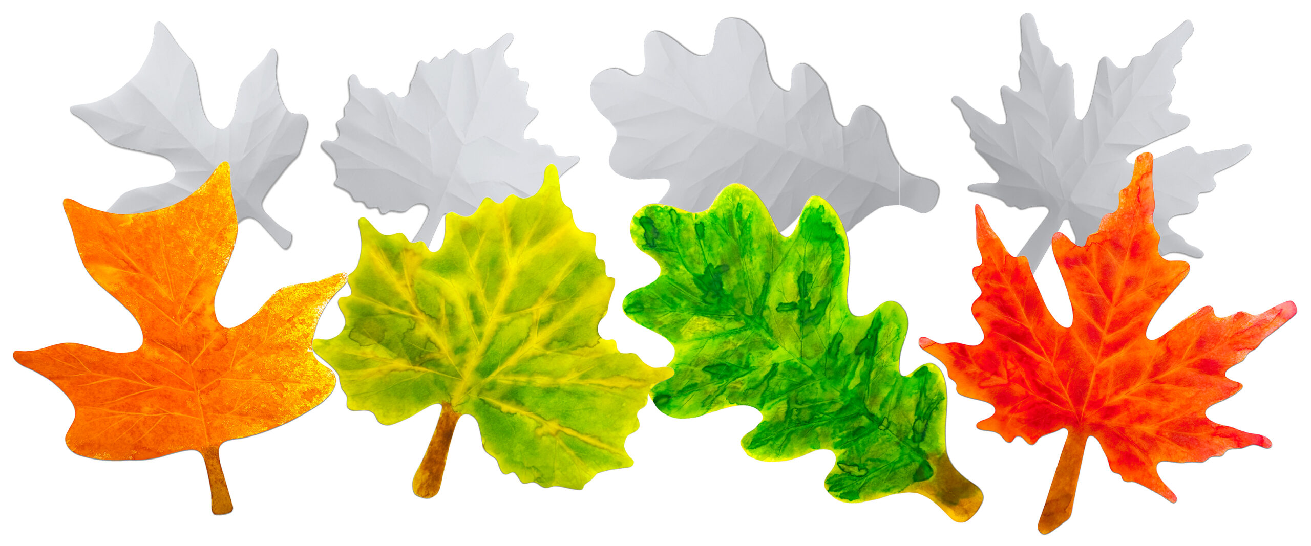 15261-Sunbeam Leaves-Group-Art & Blanks-300dpi