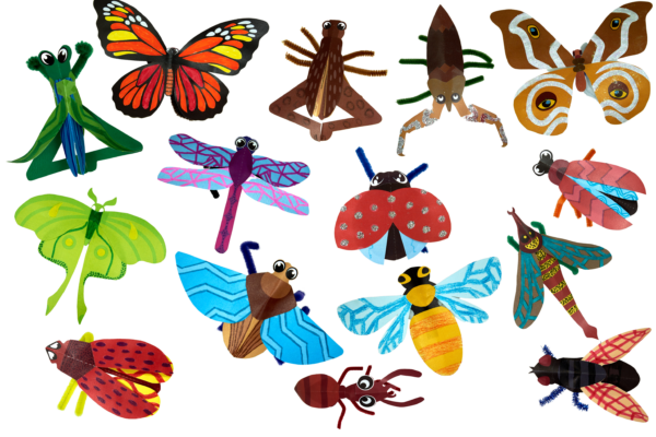 Beautiful Bugs