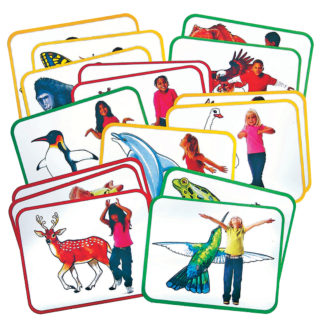 R62010 Roylco Body Poetry Animal Action Cards