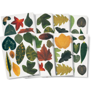 Crafty Leaves Paper Display