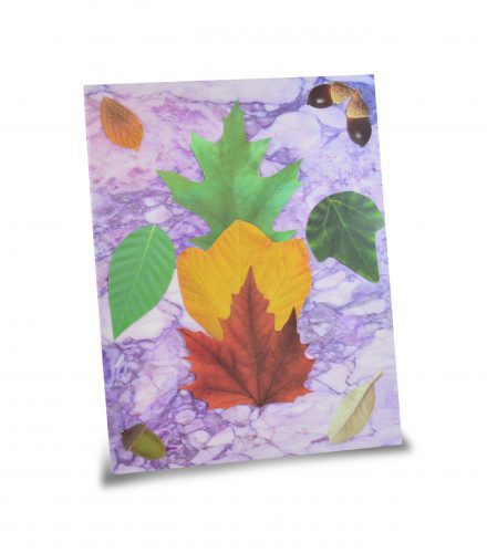 15401 Marple Paper - Purple Leaves