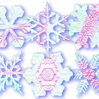 Snowflakes Rubbing Plates