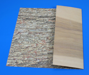 wood paper trees