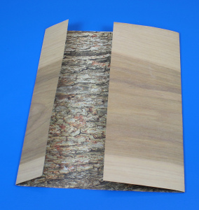 wood paper trees