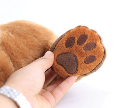 Close up of Theo the Therapy Dog paw