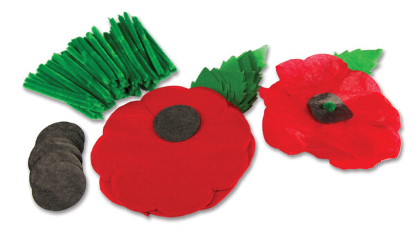 Remembrance Day Poppies