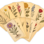 Botanical Rubbing Plates by Roylco