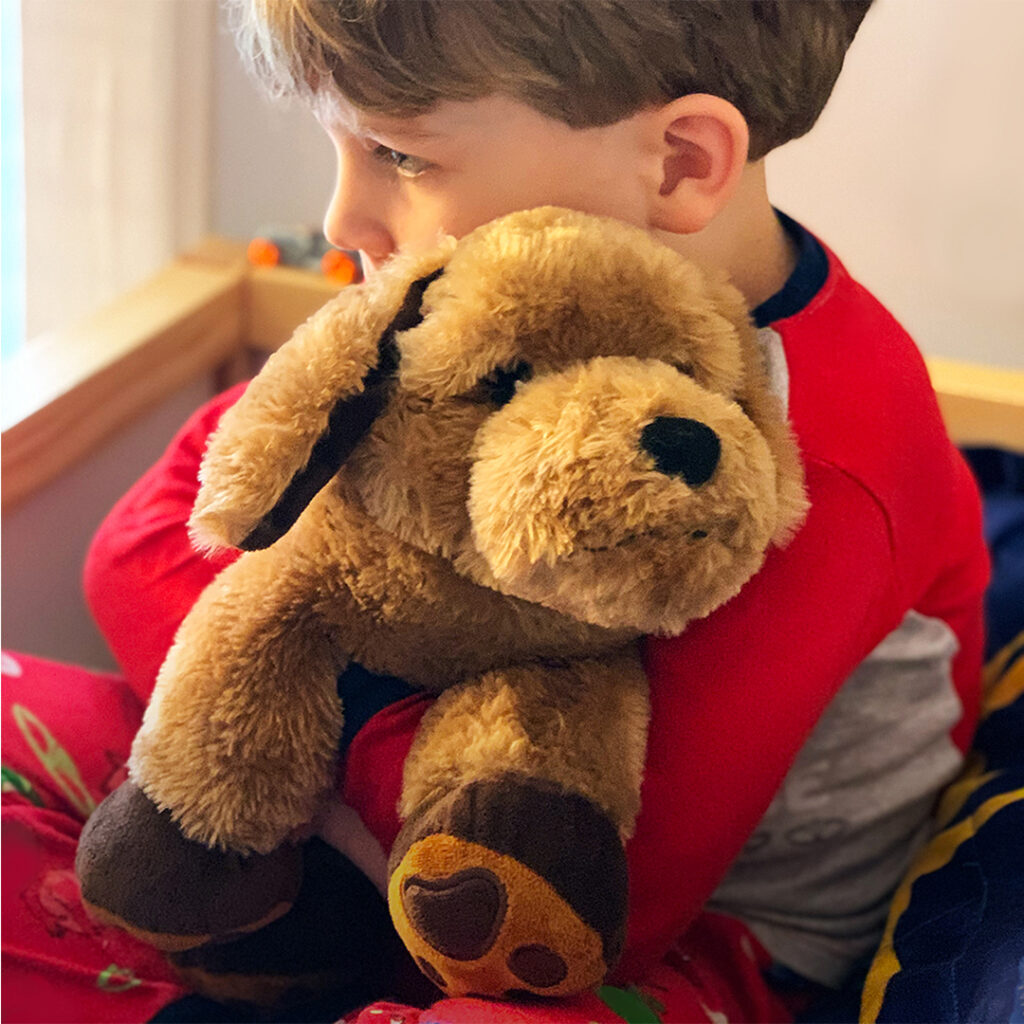 Roylco's Theo the Therapy Dog, boy holding therapy dog