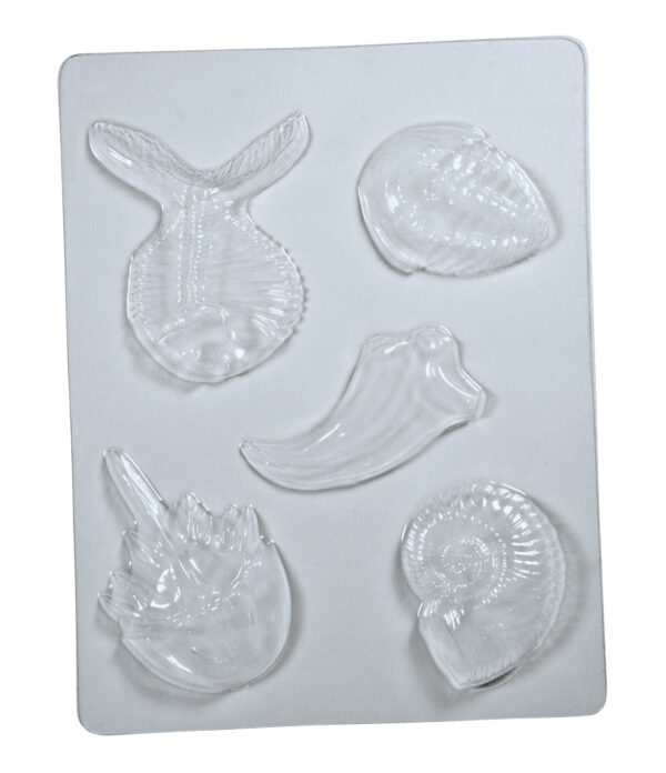 Fossil Molds - Image 2