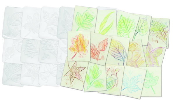 Leaf Rubbing Plates - Image 2