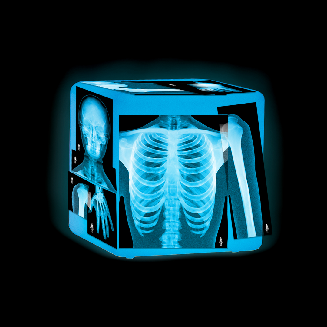 Roylco educational light cube and human x-rays