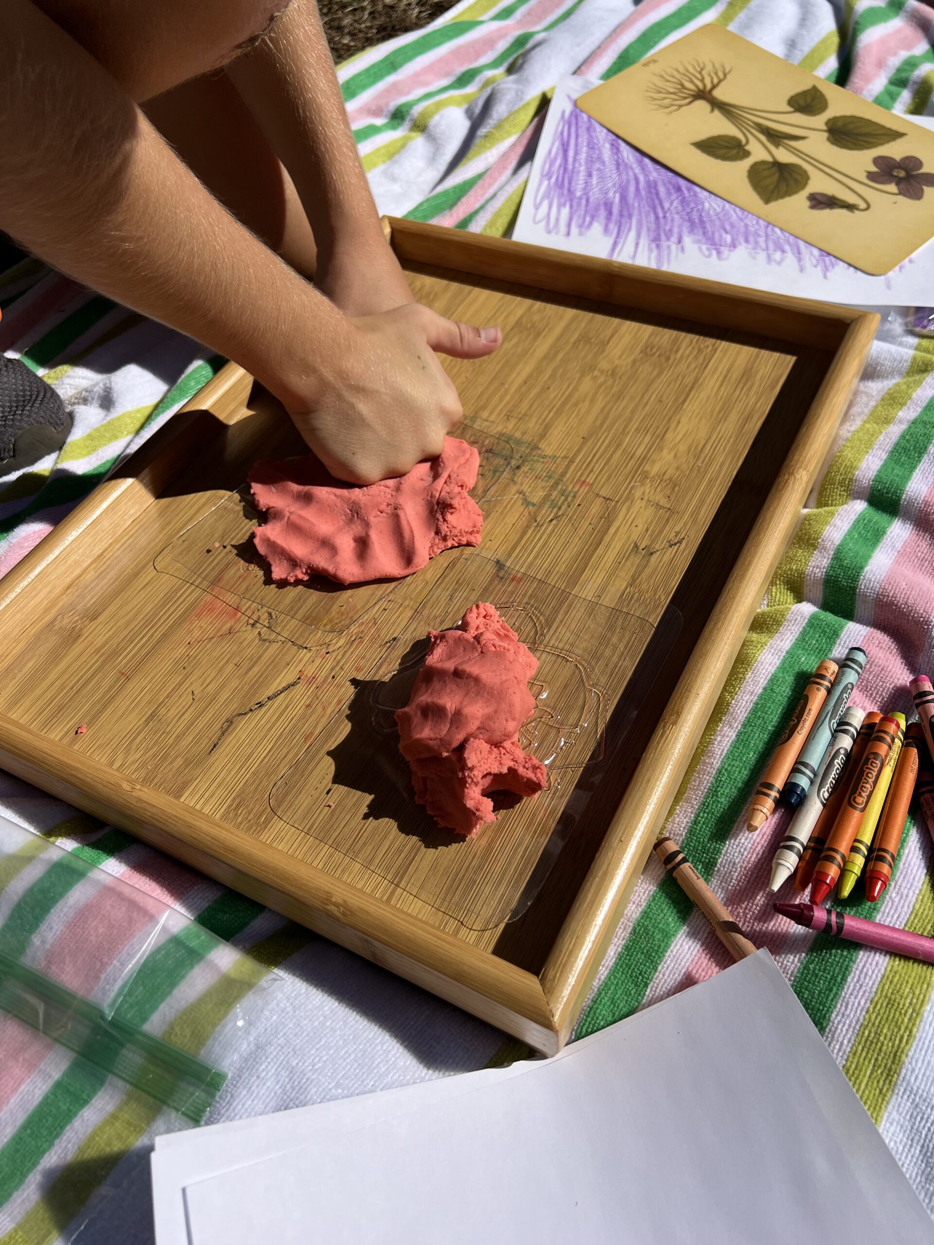 Flower Rubbing Plates - Image 4