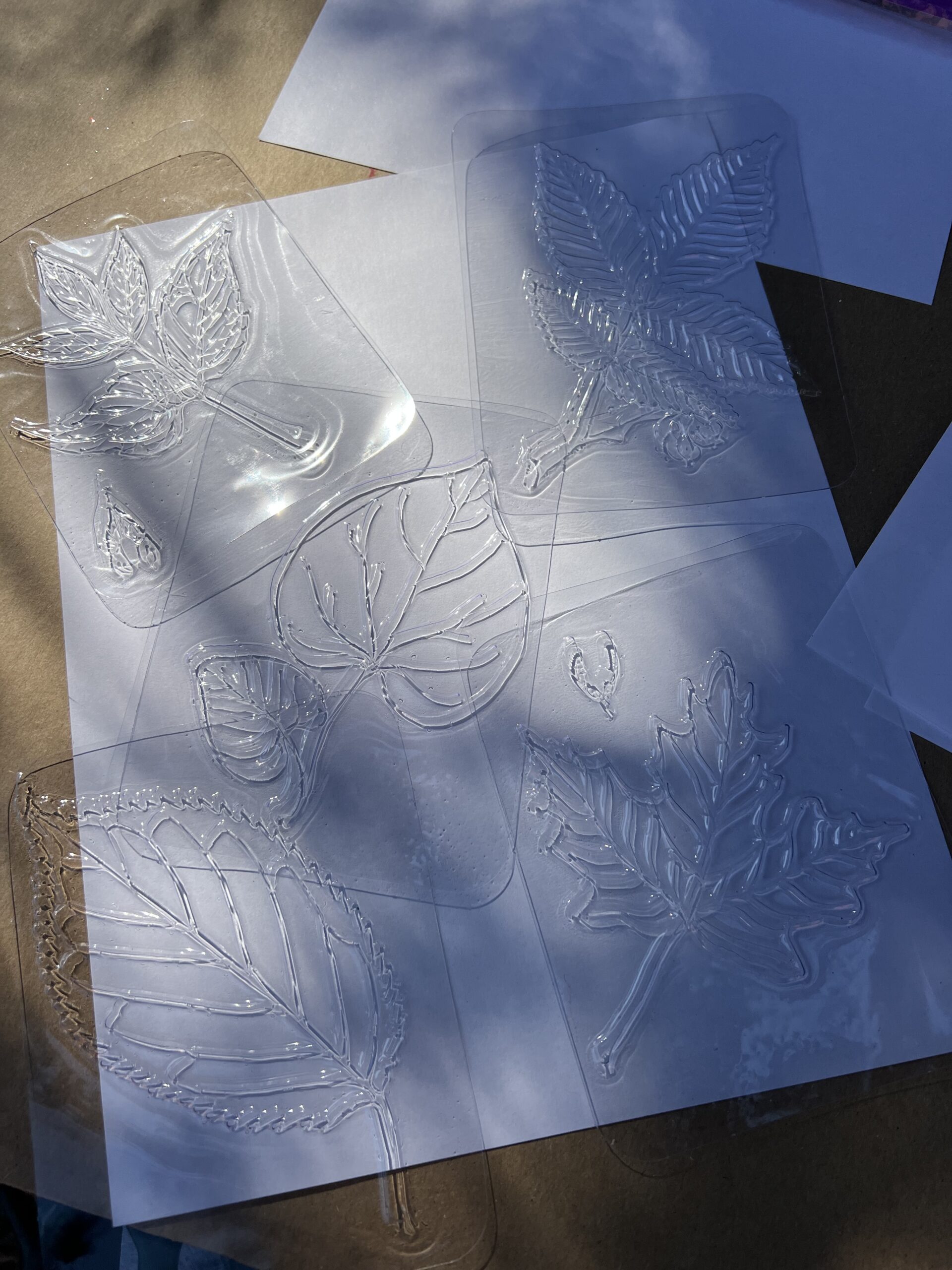 Roylco Leaf Rubbing Plates